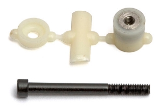 Picture of Team Associated Diff T-Nut and Thrust Bolt